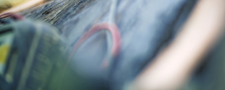 Mufferenovering: Detalje