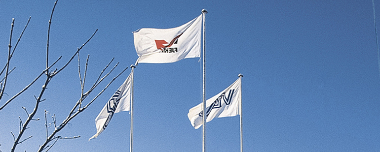 VEKS Flag